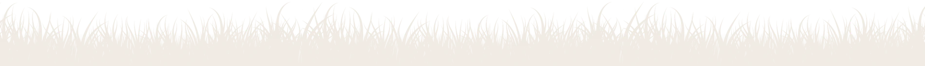 files/Banner_Grass_Image_-_Desktop.webp