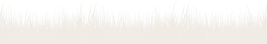 files/banner_btm_png1_1500x_6fb16a98-719d-4d7c-9d08-9f398da76a99.png